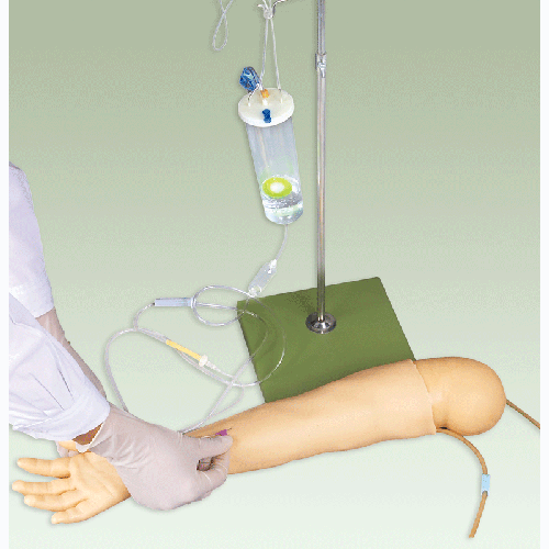 高级儿童手臂静脉穿刺训练模型