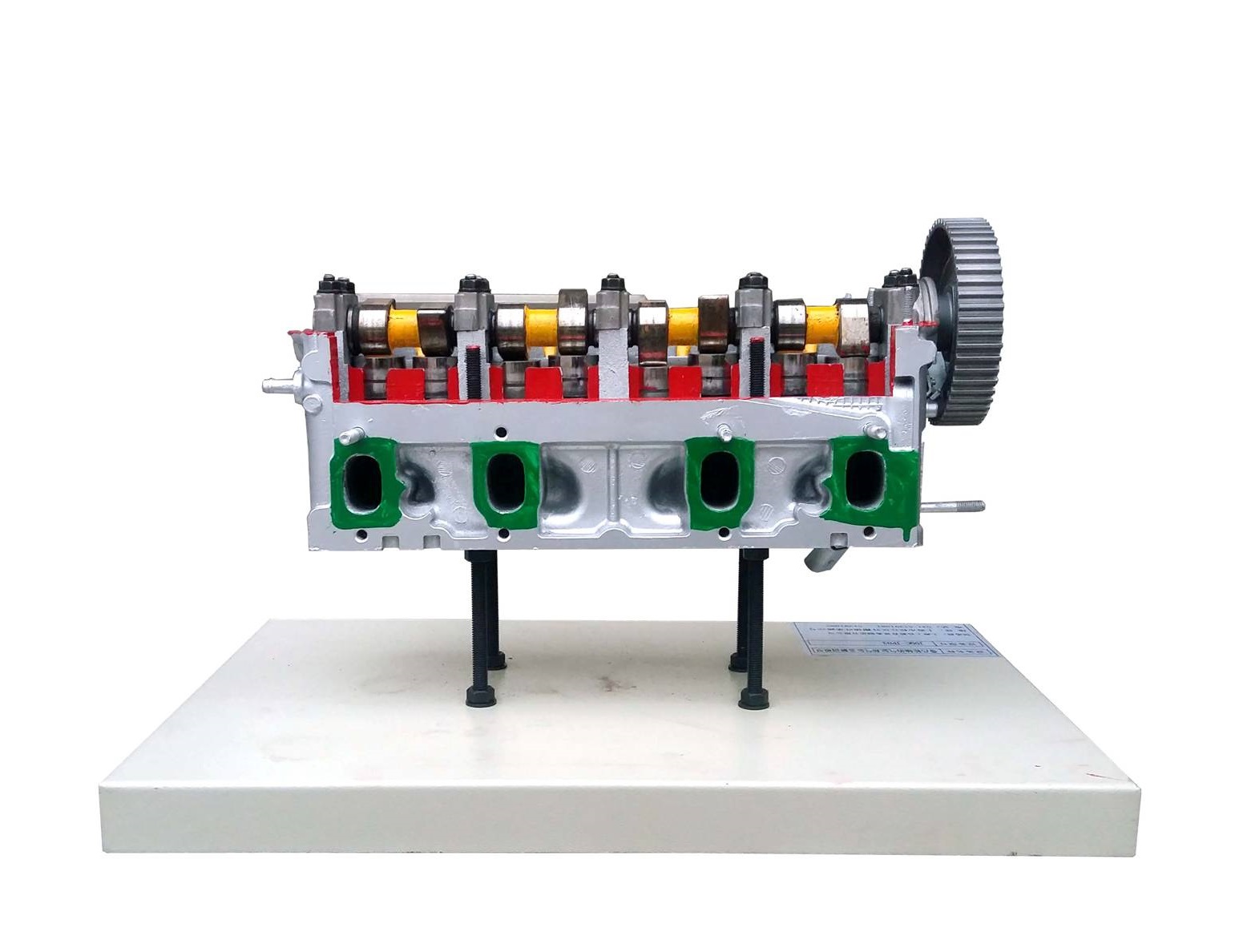 带凸轮轴气缸和气缸盖解剖模型